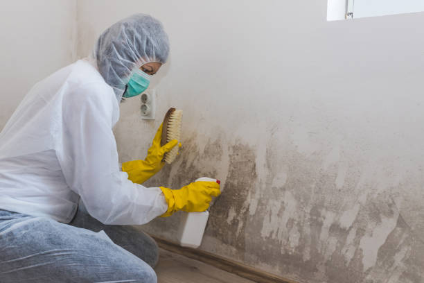 Asbestos and Lead Testing During Mold Inspection in Milan, NM