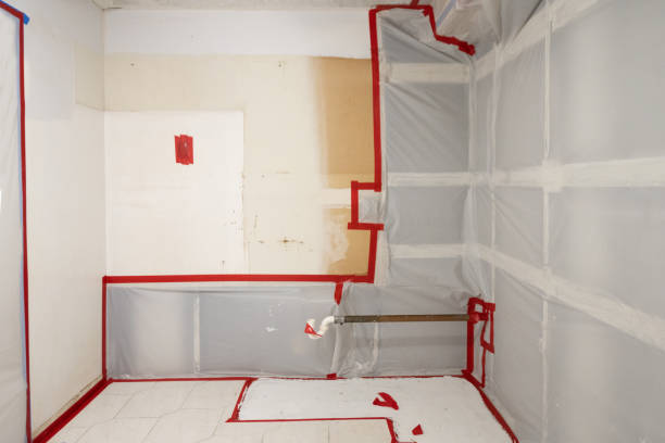 Best Mold Odor Removal Services  in Milan, NM