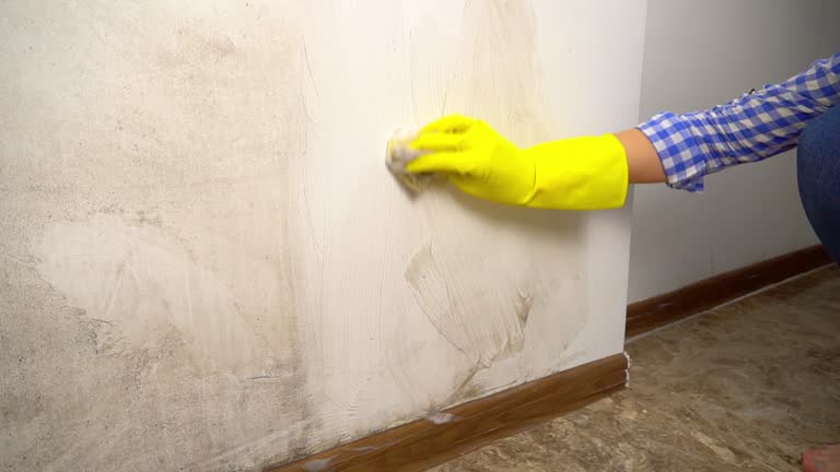 Best Water Damage & Mold Remediation  in Milan, NM