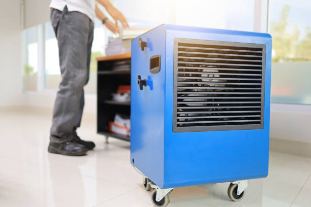 Best Mold-Related Health Consultation  in Milan, NM