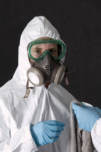 Best Mold Damage Restoration  in Milan, NM